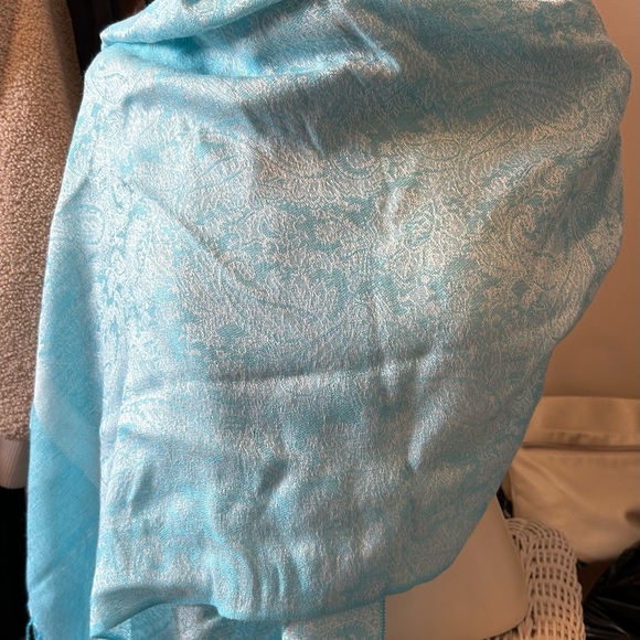 Pashmina Shawl - Picture 2 of 6